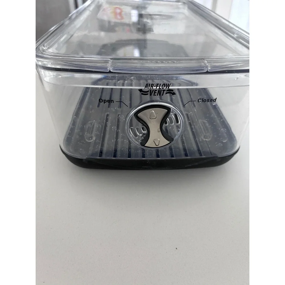 Prepworks by Progressive Berry Keeper Produce Saver Clear Venting Container